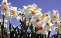 职场人士也应有“成长危机”