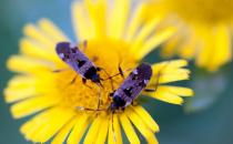 这些因素最容易消磨你的斗志