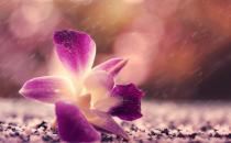 如何提升在职场的安全感