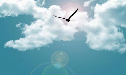 影响职场晋升的6个心理性格