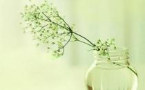 为什么有幽默感的人更易获得成功？