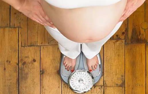孕妇脂肪摄入过多增加死产风险