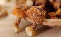 姬松茸的功效 两款姬松茸美味食谱