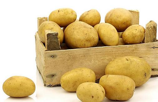 马铃薯有哪些营养价值?
