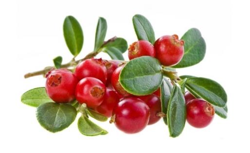 吃蔓越莓有什么好处?