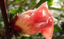 几招让你在夏季预防蚊虫叮咬