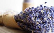 秋季家居如何预防蚊虫叮咬