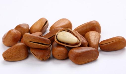 松子有哪些营养价值?