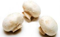 双孢菇的营养价值 双孢菇的做法