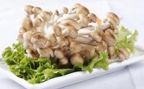 真姬菇的营养价值 真姬菇的做法