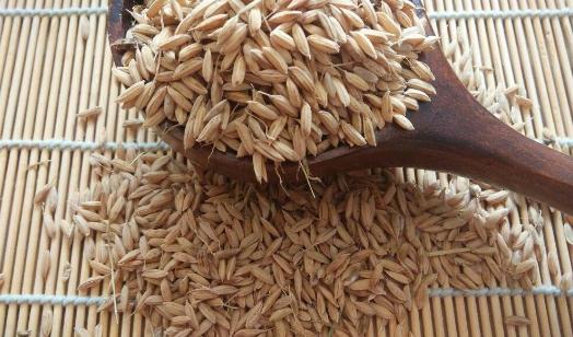 胚芽米适合哪些人吃?胚芽米的功效