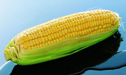玉米的功效 玉米排骨汤的做法
