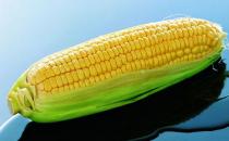 玉米的功效 玉米排骨汤的做法