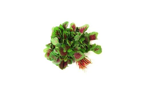 米苋菜是什么?米苋菜有什么功效?