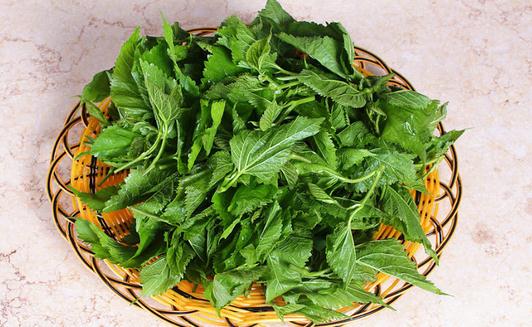 桑葚是宝 桑葚怎么吃最好?