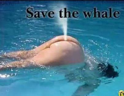 搞笑图片：牛人幽默搞笑总有一张雷倒你，鲸鱼喷水