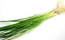 小葱的功效 小葱的做法