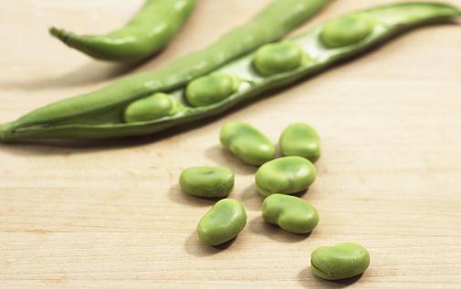 吃新鲜蚕豆真的很危险吗？