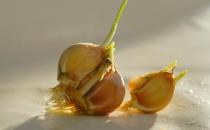 这些发芽的食物也可以吃