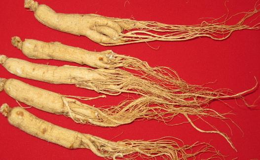 开车前不宜吃哪些药物?