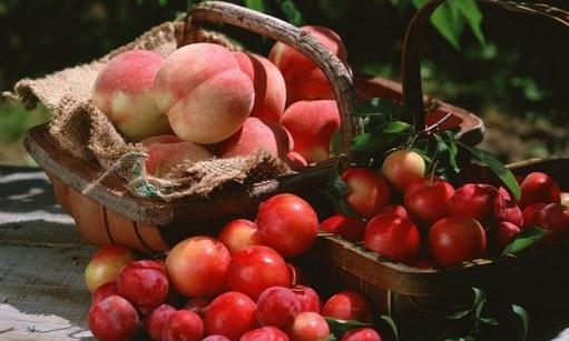 上火吃什么水果能降火?