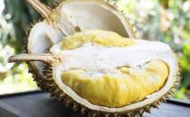 如何挑选一个美味榴莲？