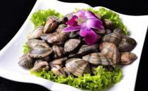 花蛤的营养价值 花蛤的做法