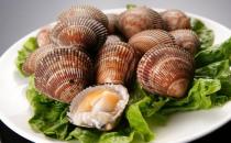 鸟贝是什么？鸟贝的做法