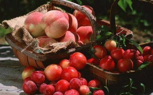 几款好吃的蒸煮水果食疗方