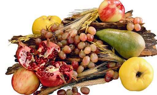 秋季最强水果:VC之王刺梨