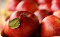 吃什么水果能够清热化痰