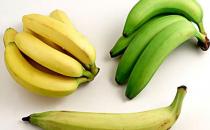 吃绿色香蕉有助减肥