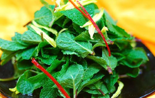 吃野菜有哪些注意事项