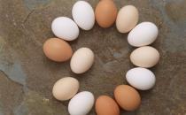 夏季养生吃对鸡蛋能治病