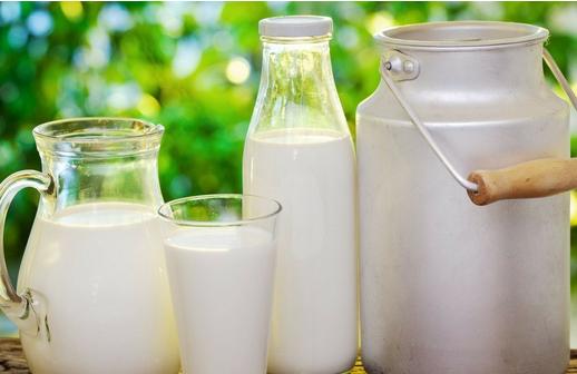 营养母体应该多喝牛奶