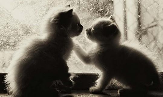 肩并肩的沟通有时会更好