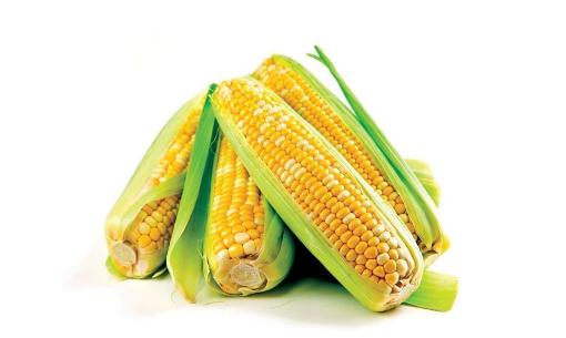 玉米是营养价值最高的主食
