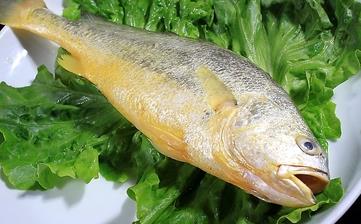 【黄鱼】_黄鱼的营养价值,功效与作用,黄鱼怎么做好吃,黄鱼的做法大全