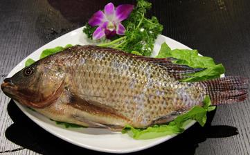 【福寿鱼】_福寿鱼的营养价值,福寿鱼怎么做好吃,福寿鱼的做法大全