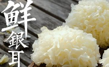 【银耳】_银耳的营养价值,银耳的功效,银耳怎么做,银耳的做法大全 【银耳】_银耳的营养价值,银耳的功效,银耳怎么做,银耳的做法大全