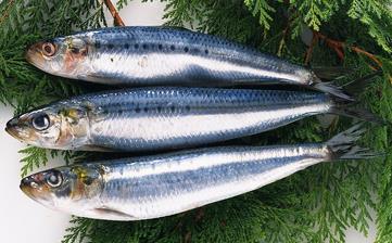 【青鱼】_青鱼的营养价值,青鱼怎么做好吃,青鱼的做法大全