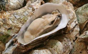 【牡蛎】_牡蛎的功效与作用,牡蛎怎么做好吃,牡蛎的做法大全