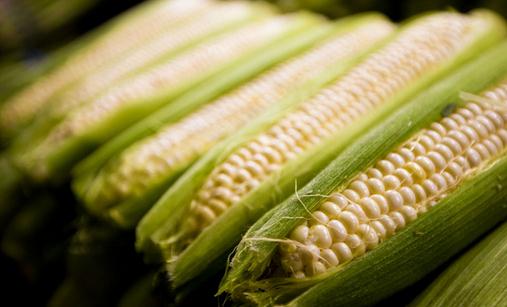玉米含有甜蜜素 多食玉米有害吗？