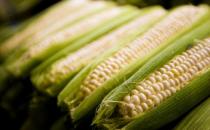 玉米含有甜蜜素 多食玉米有害吗？