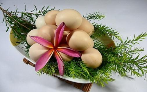 吃什么食物能够提高免疫力?