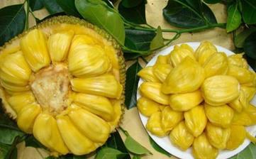 【菠萝蜜】_菠萝蜜的功效与作用,菠萝蜜上火吗,菠萝蜜怎么吃