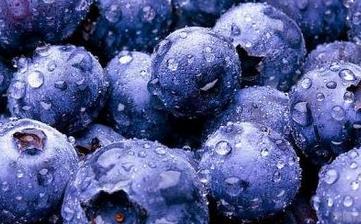 【蓝莓】_蓝莓的功效与作用,蓝莓上火吗,蓝莓怎么吃,蓝莓怎么洗