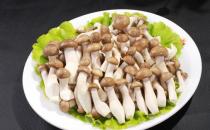 鲜味会让人胃口更好吗？