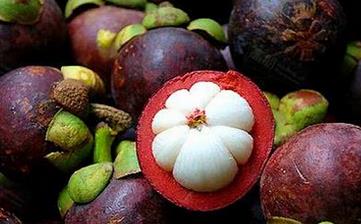 【山竹】_山竹的功效与作用,山竹上火吗,山竹怎么吃,山竹怎么剥 【山竹】_山竹的功效与作用,山竹上火吗,山竹怎么吃,山竹怎么剥