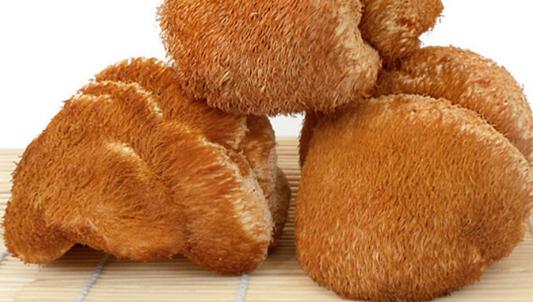 咸鲜味美的猴蘑牛头方怎么做?